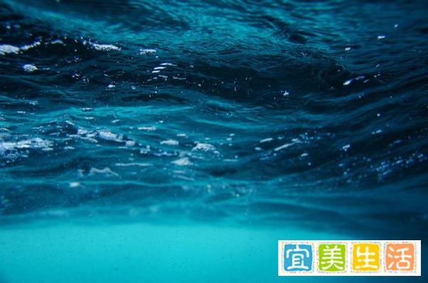 松花江水污染事件(最好能详细点)