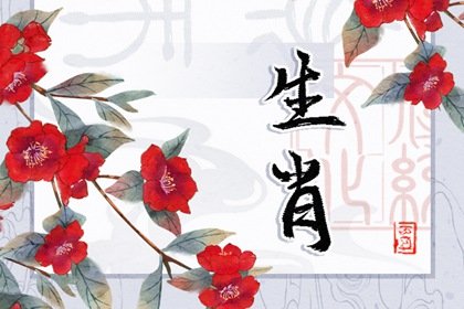 患难与共是什么生肖(患难与共猜一生肖) 患难与共是什么生肖(患难与共猜一生肖)
