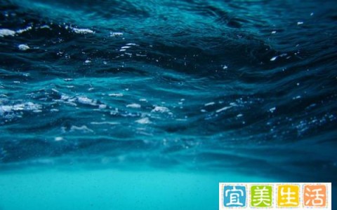 松花江水污染事件(松花江水污染事件发生的原因)