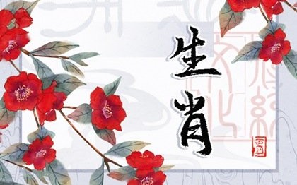 患难与共打一动物_患难与共打动物多多生肖