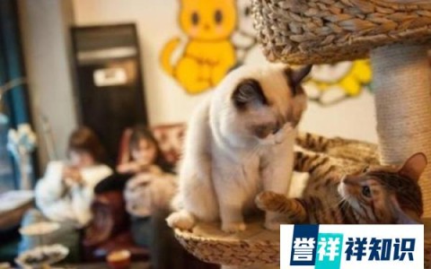 开店做什么生意好_开店做什么生意好呢女生