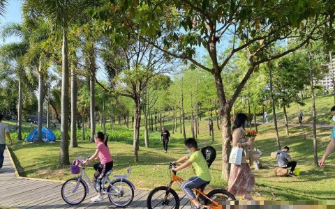 深圳龙华天龙大道,深圳龙华天龙大道酒吧